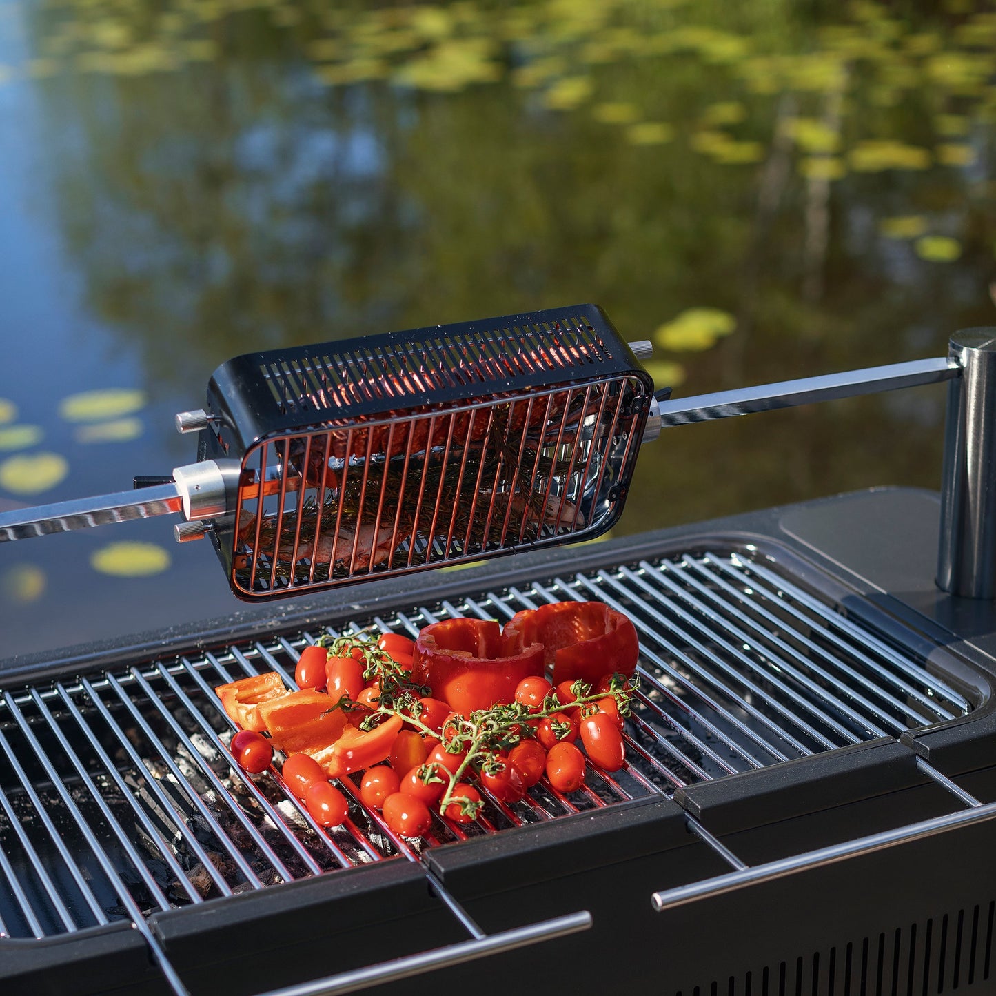 Rotisserie Cage